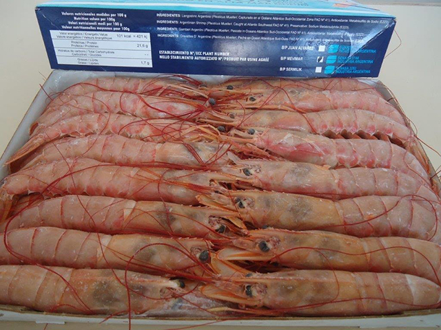 image of Shrimp